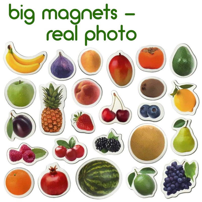 MAGDUM PHOTO FRUITs&Berries - magnets for kitchen -real LARGE fridge magnets for toddlers- Magnetic EDUcational toys baby 3 year old baby - LEARNing magnets for kids- Kid magnets - Development toys - Image 3